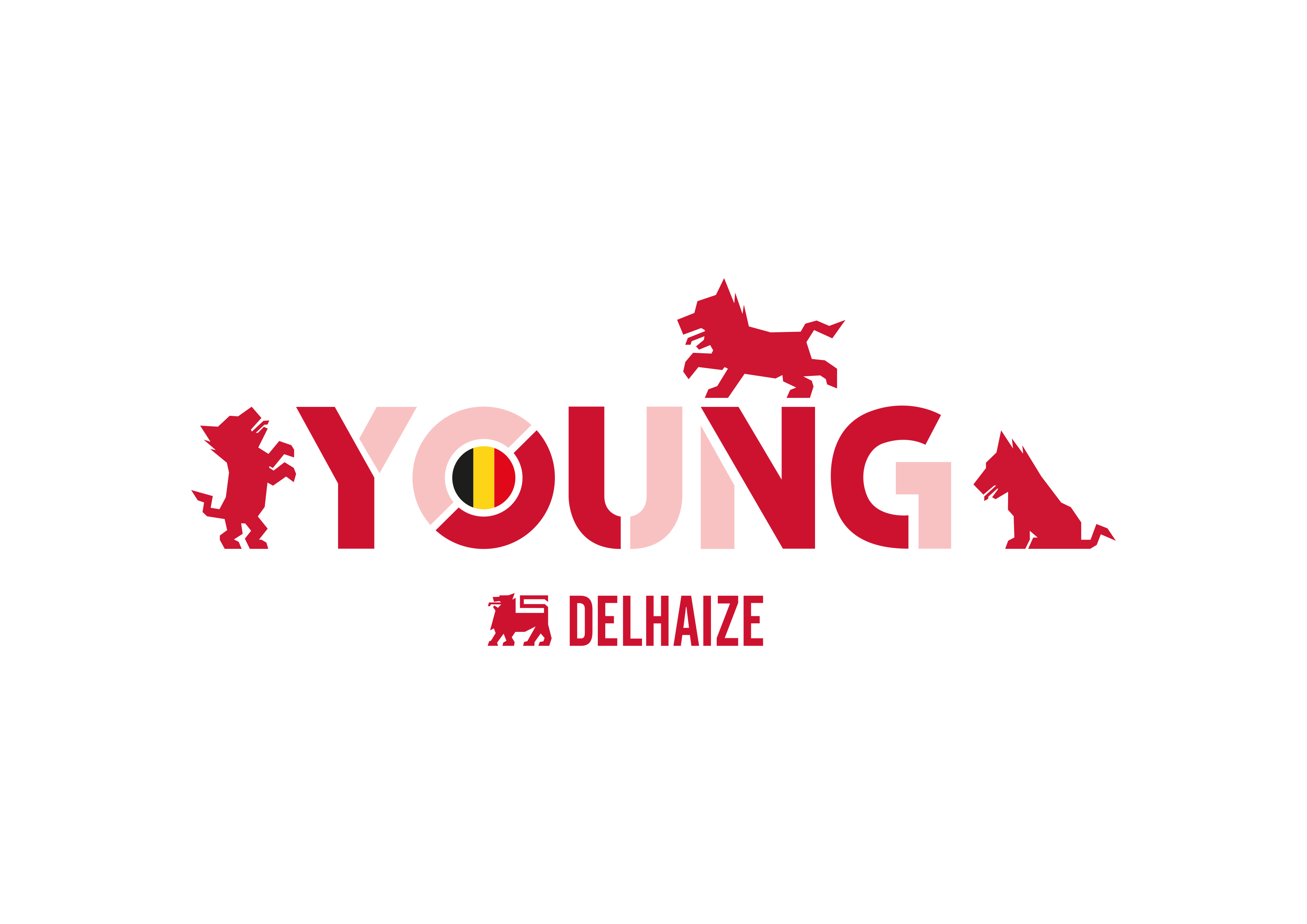 Young Delhaize BE logo